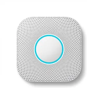 Nest Detector