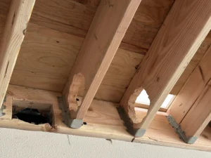 Cut Joists