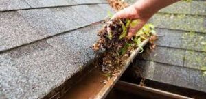 Gutter cleaning