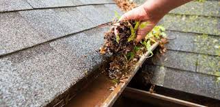 Gutter cleaning